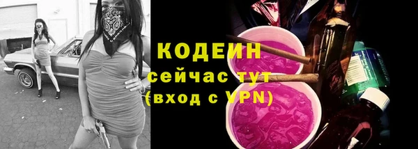 гидропоника Инта