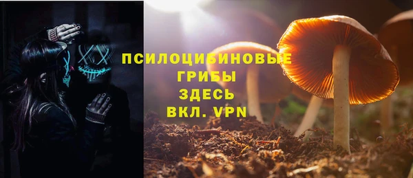 мескалин Инсар