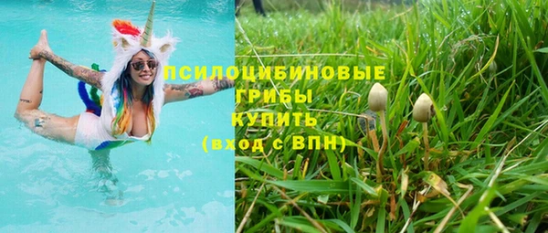 мескалин Инсар