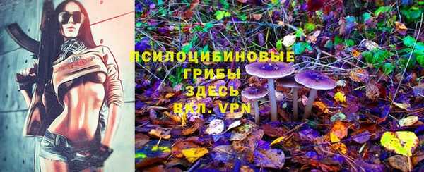 гидропоника Инта