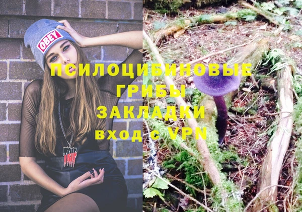 тгк Иннополис