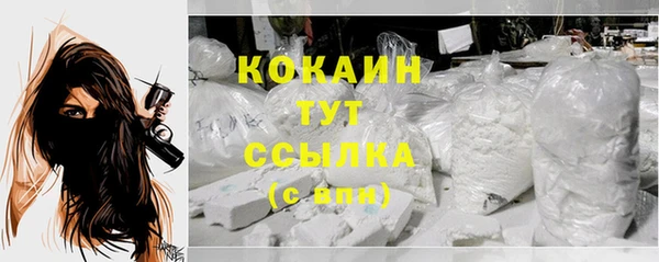 гидропоника Инта