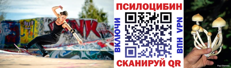Галлюциногенные грибы GOLDEN TEACHER  Купить где  Луза 