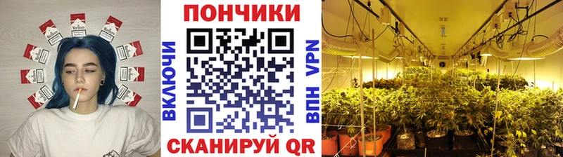 Каннабис LSD WEED Купить Луза